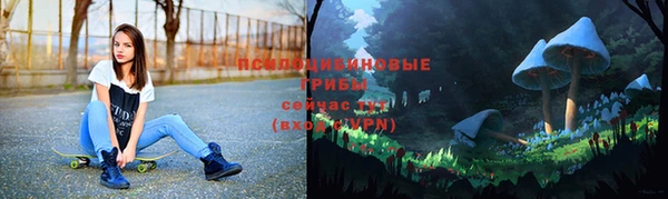 гидра Армянск