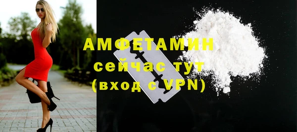 гидра Арсеньев