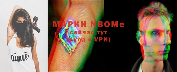 гидра Арсеньев