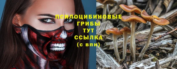 гидра Армянск