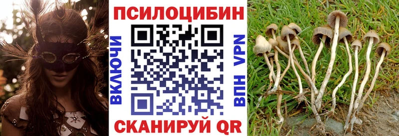 Псилоцибиновые грибы мицелий  Углич 